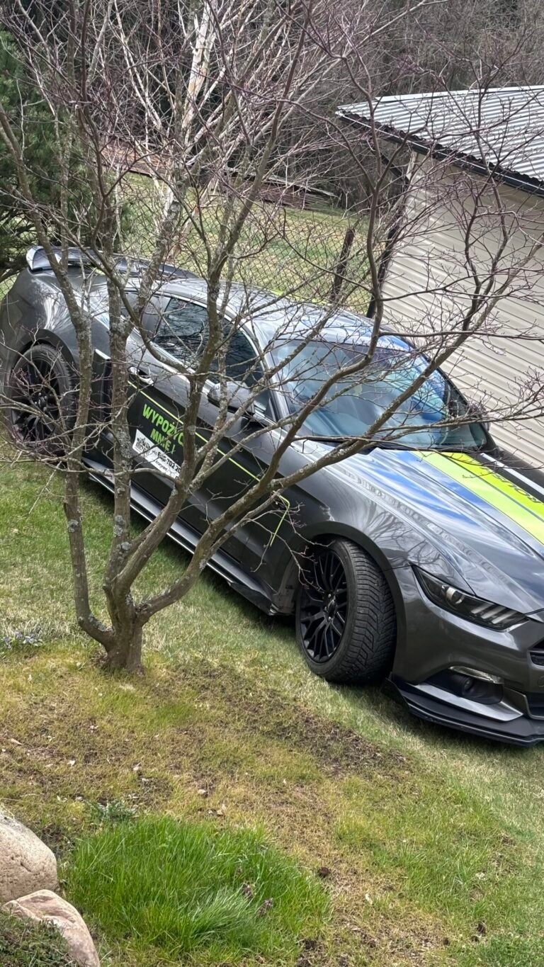 Mustang GT Roush - wynajem samochodu premium - Kraków i Zakopane - zdjęcie 2